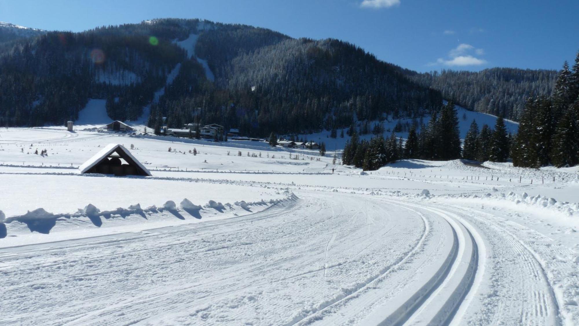 Ferienhaus Schaefer - Apartments - Wintersports - Family Holiday - Holiday With Your Dog - Rural & Scenic Flattnitz Extérieur photo