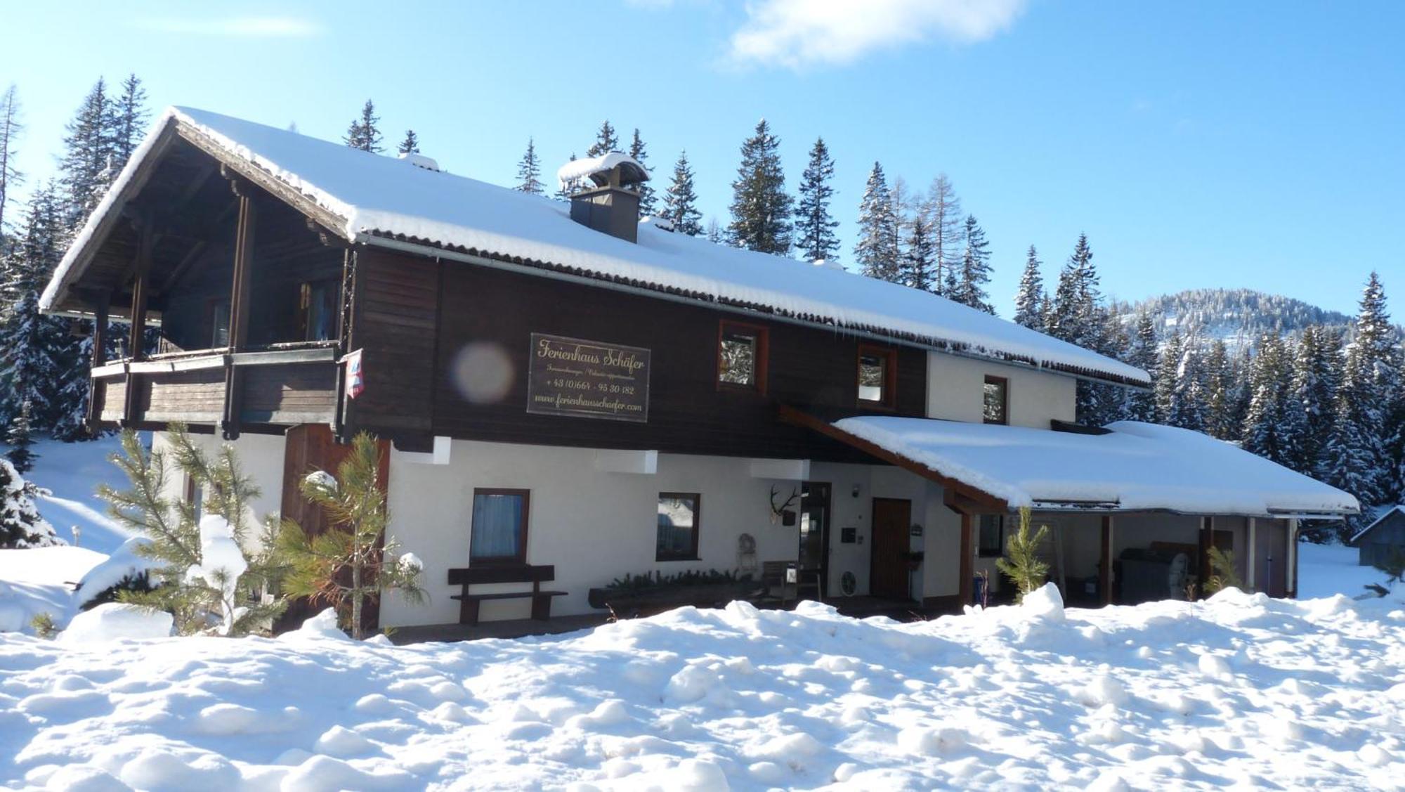 Ferienhaus Schaefer - Apartments - Wintersports - Family Holiday - Holiday With Your Dog - Rural & Scenic Flattnitz Extérieur photo