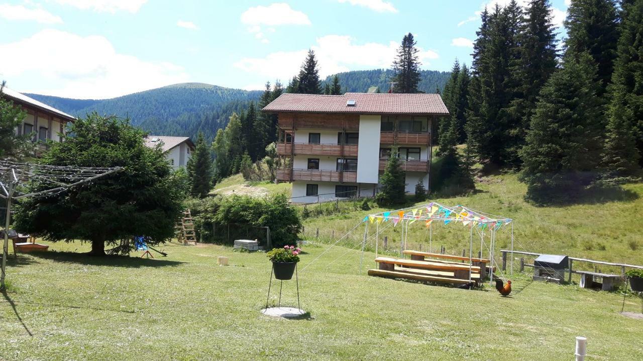 Ferienhaus Schaefer - Apartments - Wintersports - Family Holiday - Holiday With Your Dog - Rural & Scenic Flattnitz Extérieur photo